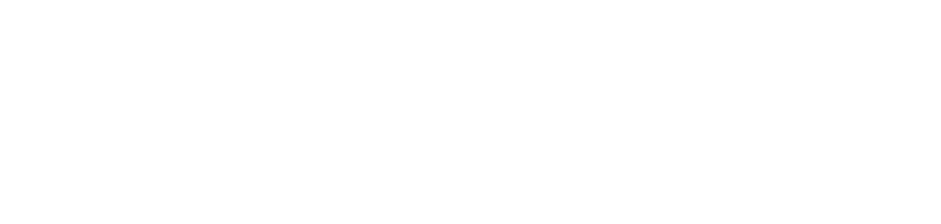 INFLEET
